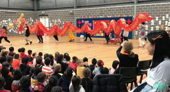 Principal’s blog | Dragon Dynasty Festival