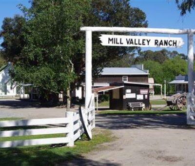 Year 3/4 Camp – Mill Valley Ranch.